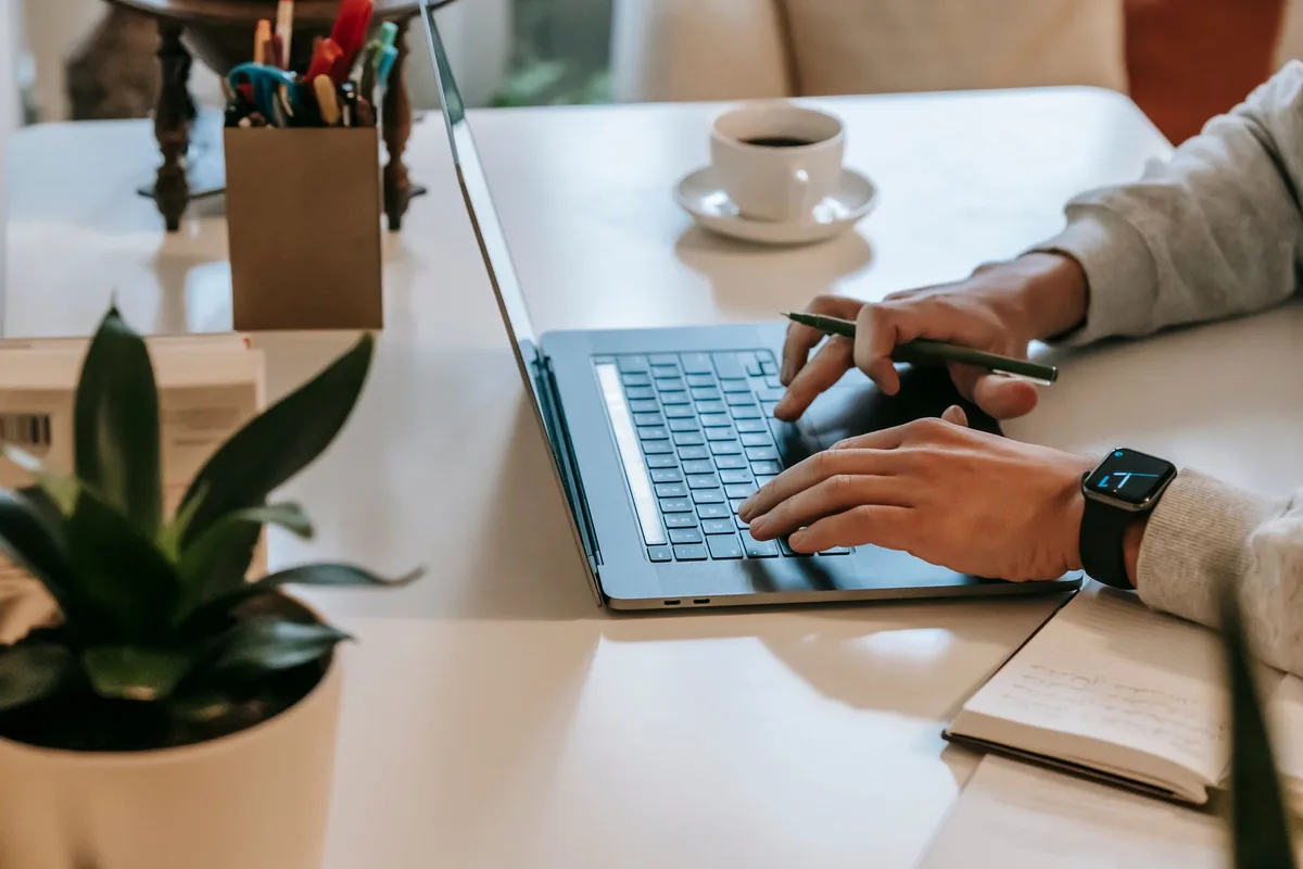 Ücretsiz Online CV Hazırlama Araçları